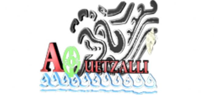 CENTRO AQUETZALLI